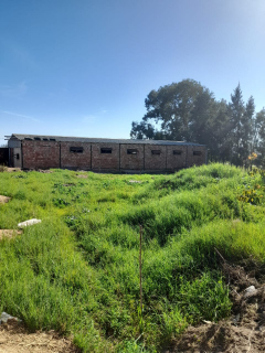 Vente Terrain agricole 4750 m² El-Taref Berrihane