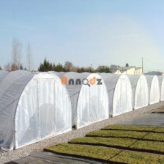 Vente Terrain agricole 2 pièces 70000 m² Tipaza