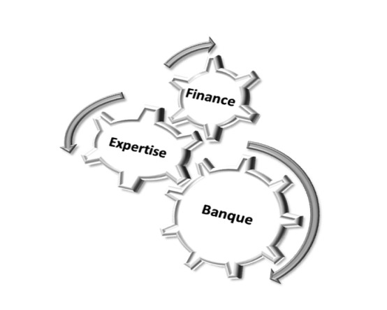 expertise diagnostique et intermediation financiere