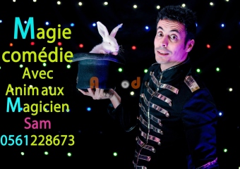 magicien sur alger - Annodz.com