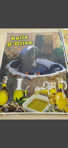 Huile d'olive  - Annodz.com